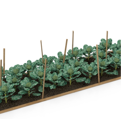 Agriculture