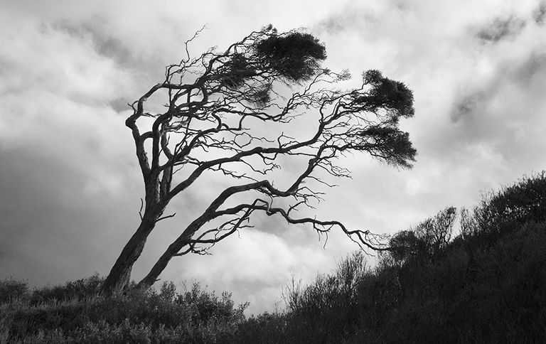 Gothic aesthetic in film: From ‘Frankenstein’ to ‘Wuthering Heights’ - 2